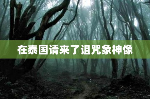在泰国请来了诅咒象神像