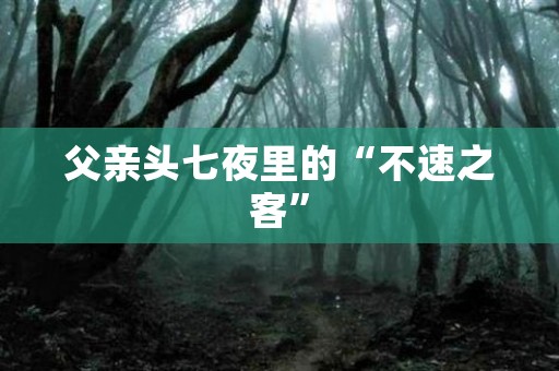 父亲头七夜里的“不速之客”
