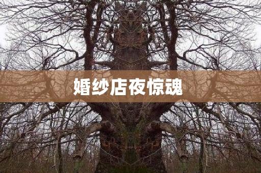 婚纱店夜惊魂 