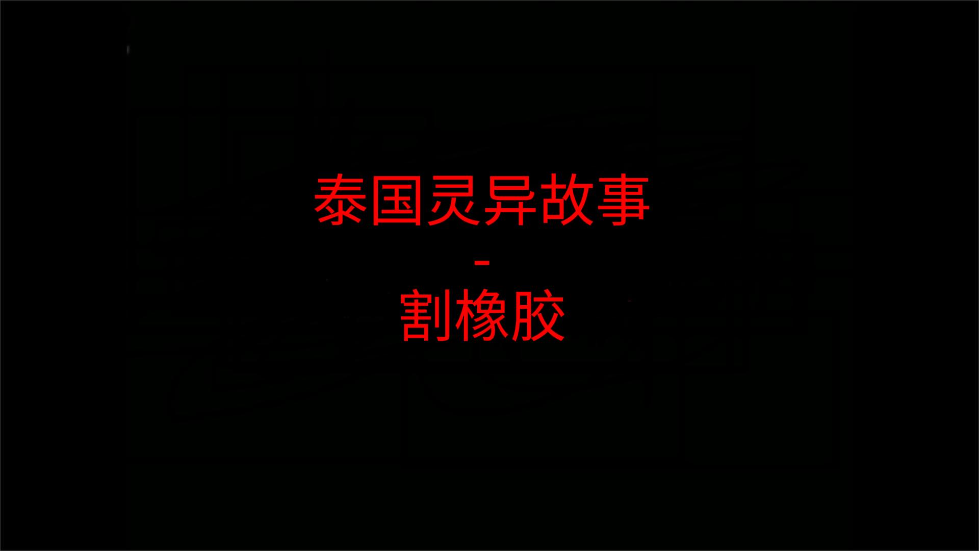 凌晨三点，那片橡胶园里有十个人在替我干活