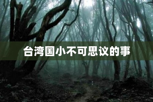 台湾国小不可思议的事 恐怖故事
