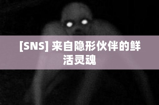 [SNS] 来自隐形伙伴的鲜活灵魂 日本恐怖故事