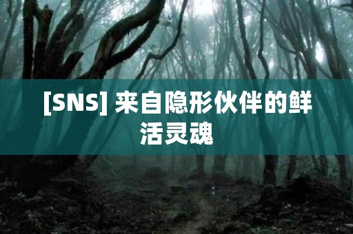 [SNS] 来自隐形伙伴的鲜活灵魂