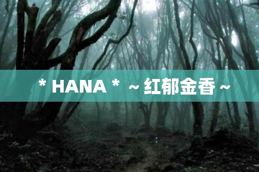 ＊HANA＊～红郁金香～ 日本恐怖故事