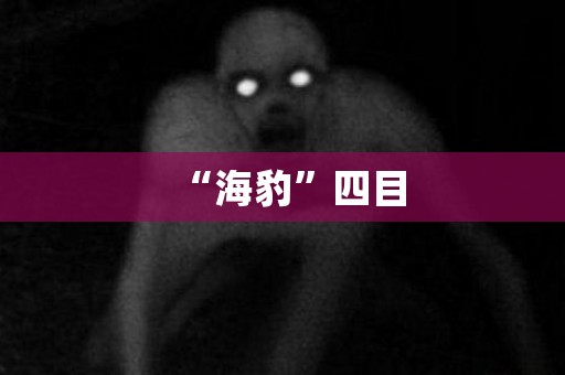 “海豹”四目 日本恐怖故事