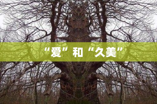 “爱”和“久美” 日本恐怖故事