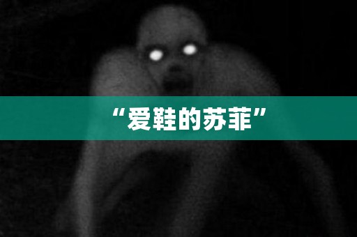 “爱鞋的苏菲” 日本恐怖故事