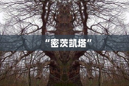 “密茨凯塔” 日本恐怖故事