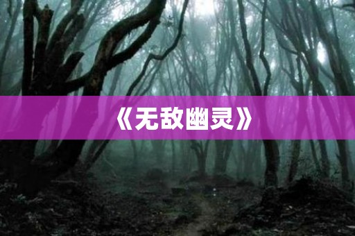 《无敌幽灵》 日本恐怖故事