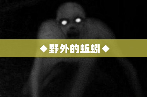 ◆野外的蚯蚓◆ 日本恐怖故事