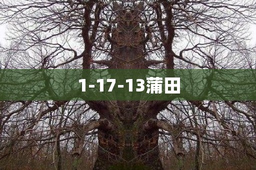 1-17-13蒲田 日本恐怖故事
