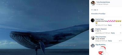 维特效应：蓝鲸灭世暗示步骤