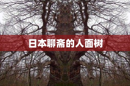 日本聊斋的人面树