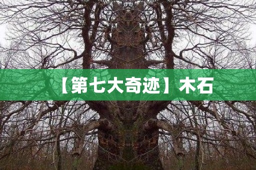 【第七大奇迹】木石 日本恐怖故事