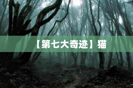 【第七大奇迹】猫 日本恐怖故事