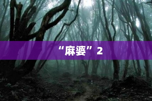 “麻婆”2 日本恐怖故事