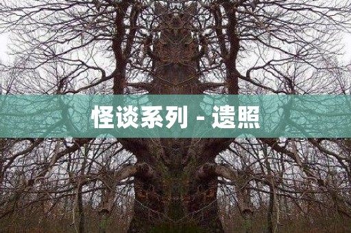 日本怪谈系列 - 遗照