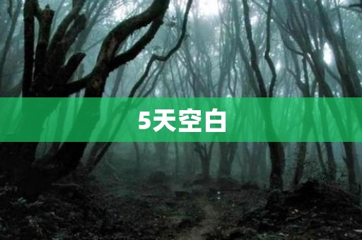 5天空白 日本恐怖故事