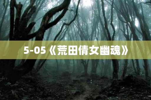 5-05《荒田倩女幽魂》 日本恐怖故事