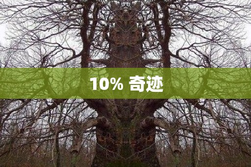 10% 奇迹 日本恐怖故事