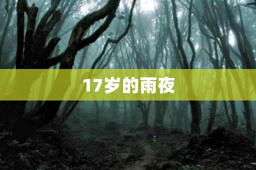 17岁的雨夜 日本恐怖故事