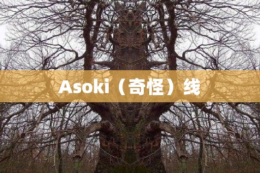 Asoki（奇怪）线