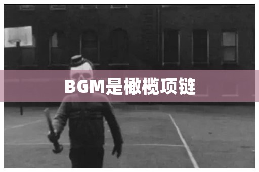 BGM是橄榄项链 日本恐怖故事
