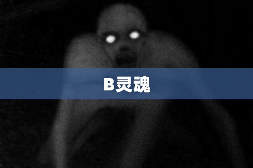 B灵魂 日本恐怖故事