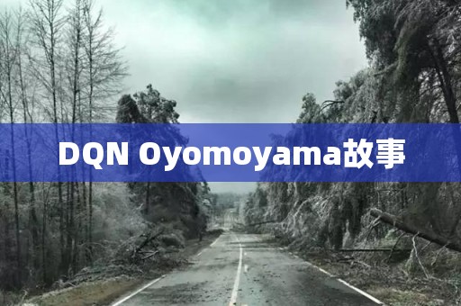 DQN Oyomoyama故事