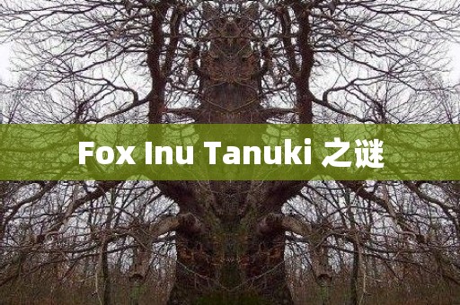Fox Inu Tanuki 之谜