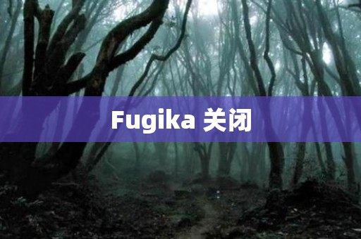 Fugika 关闭 日本恐怖故事