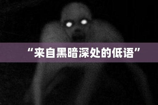 “来自黑暗深处的低语” 日本恐怖故事