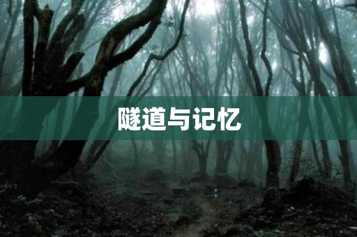隧道与记忆 日本恐怖故事