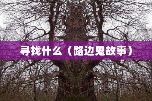 寻找什么（路边鬼故事） 日本恐怖故事
