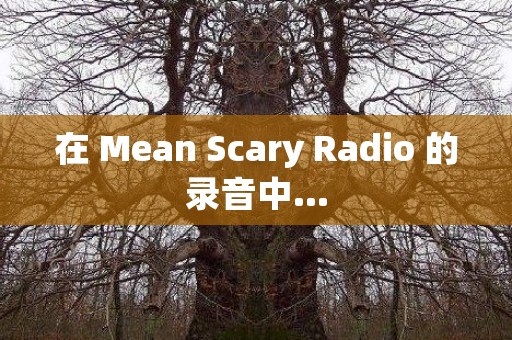 在 Mean Scary Radio 的录音中... 日本恐怖故事