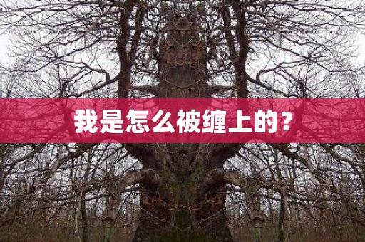 我是怎么被缠上的？