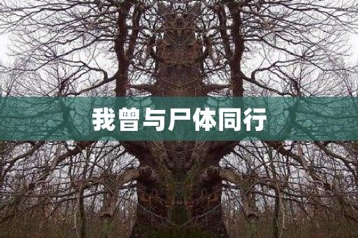 我曾与尸体同行