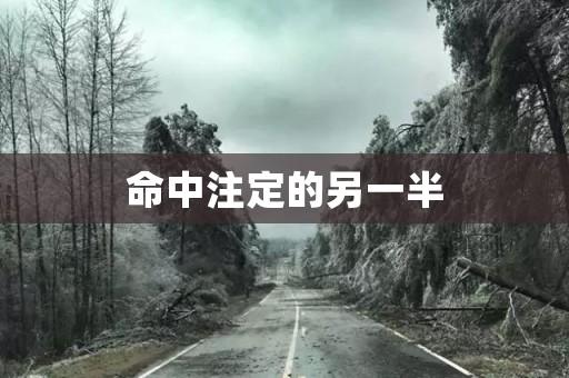 命中注定的另一半