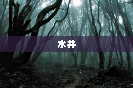 泰国真实恐怖故事 - 水井