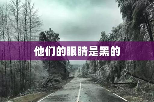 他们的眼睛是黑的