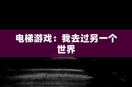 电梯游戏：我去过另一个世界
