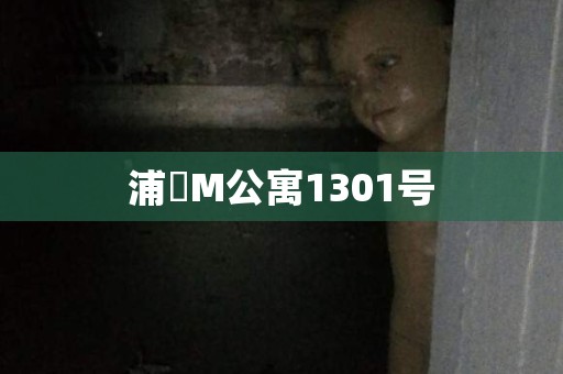 浦項M公寓1301号