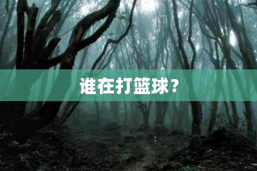 谁在打篮球？