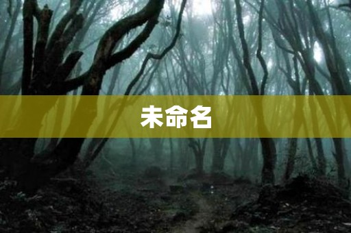 你家一点都不好睡