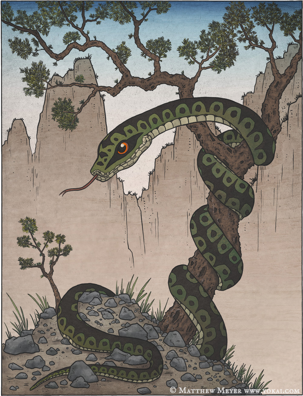 Uwabami-蟒蛇(うわばみ) 日本妖怪